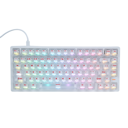 Teclado magnético para juegos con cable Kcelo Beta Classic 75% – Rendimiento en eSports