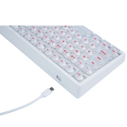 Teclado magnético para juegos con cable Kcelo Beta Classic 75% – Rendimiento en eSports