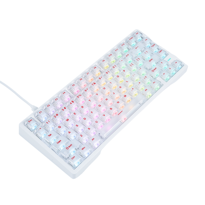 Teclado magnético para juegos con cable Kcelo Beta Classic 75% – Rendimiento en eSports